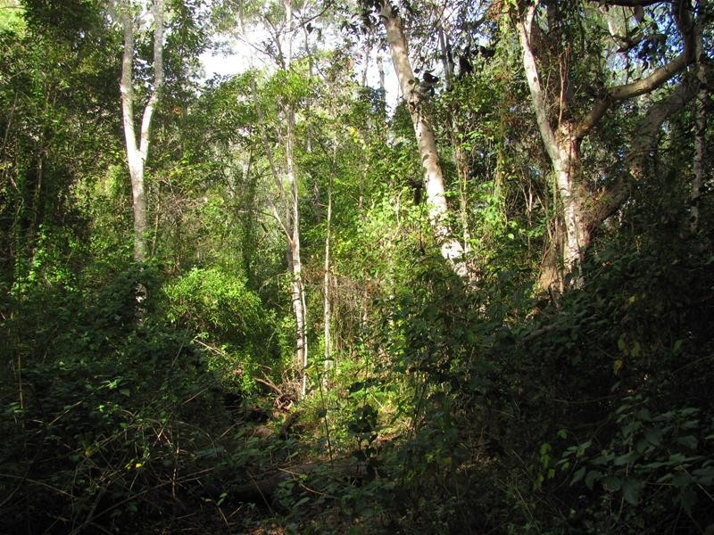 Mount Maria QLD 4674