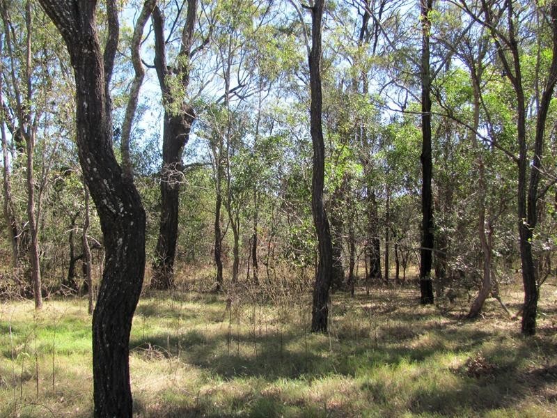 Baffle Creek QLD 4674