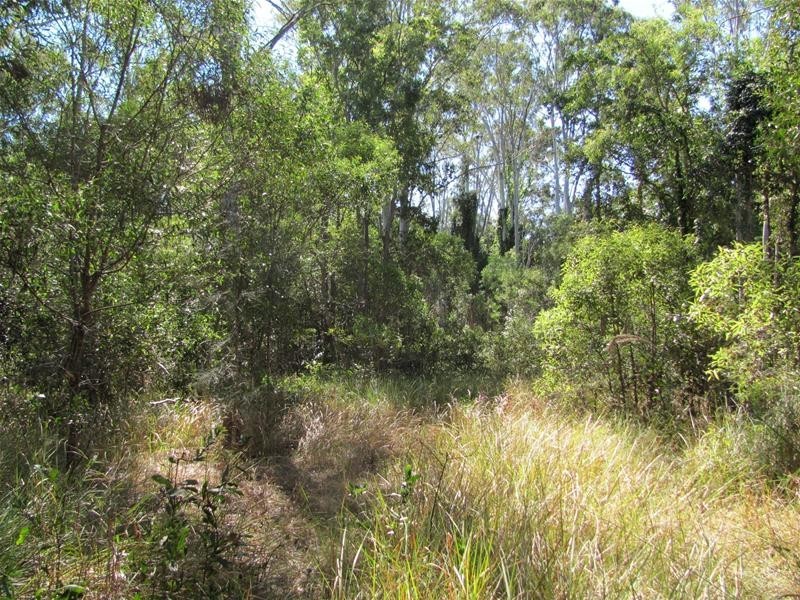 Baffle Creek QLD 4674