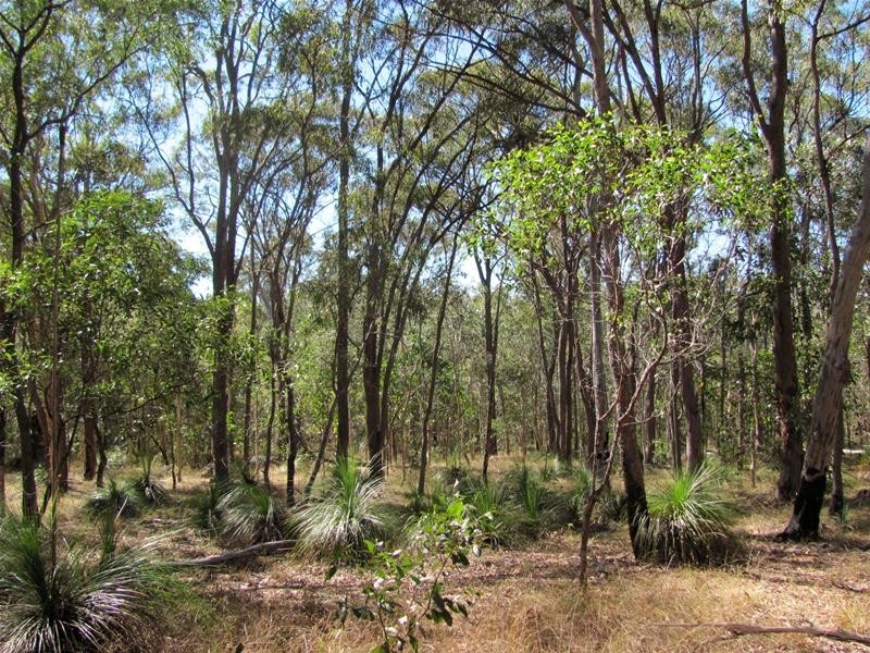 Baffle Creek QLD 4674