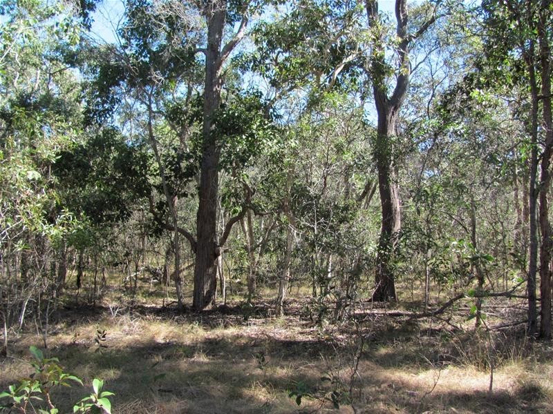 Baffle Creek QLD 4674