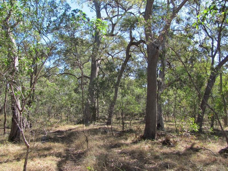 Baffle Creek QLD 4674