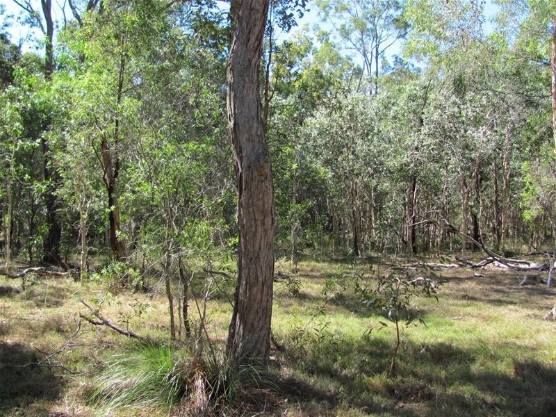 Baffle Creek QLD 4674