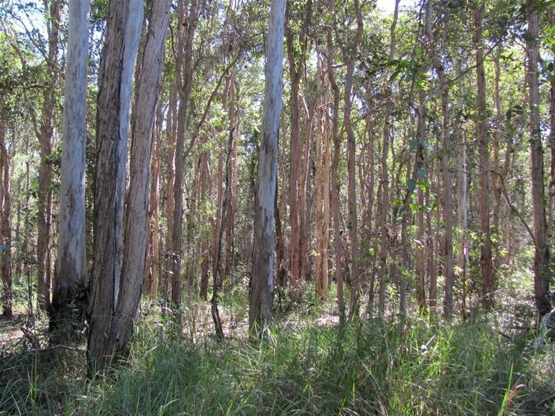 Baffle Creek QLD 4674