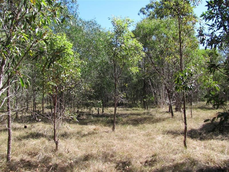 Baffle Creek QLD 4674