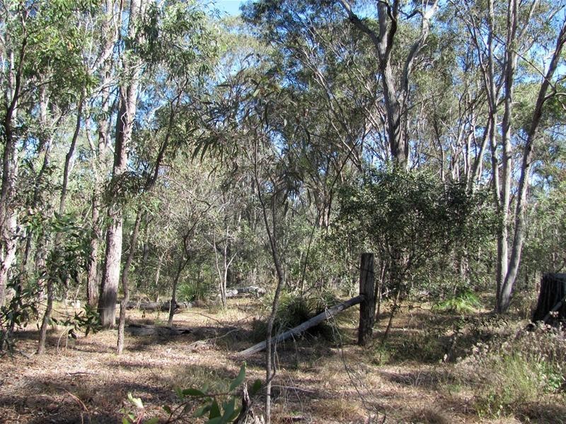 Baffle Creek QLD 4674