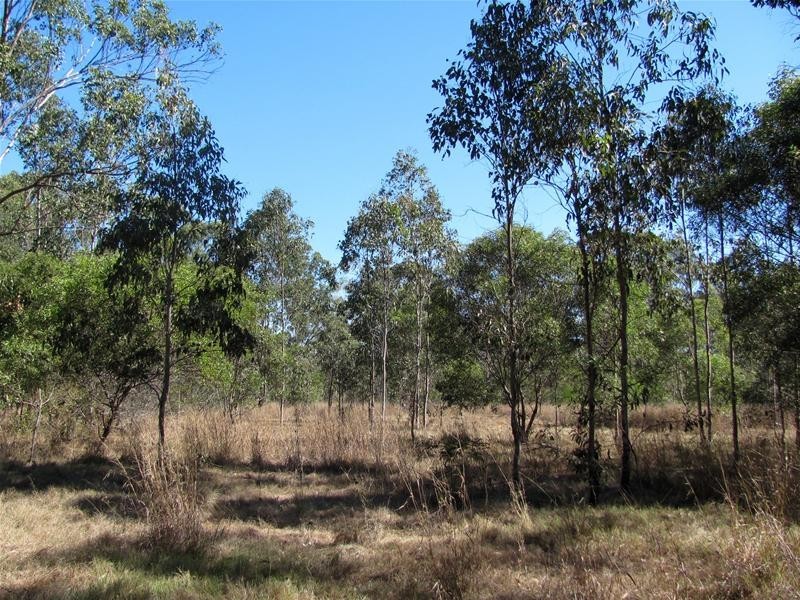 Baffle Creek QLD 4674