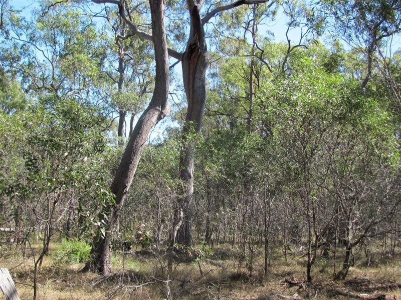 Baffle Creek QLD 4674