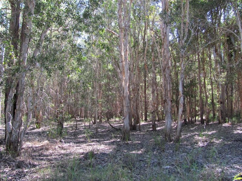 Baffle Creek QLD 4674