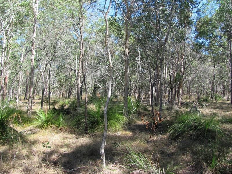 Baffle Creek QLD 4674