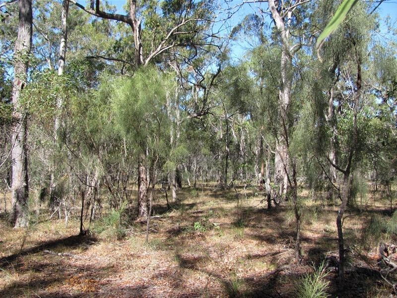 Baffle Creek QLD 4674