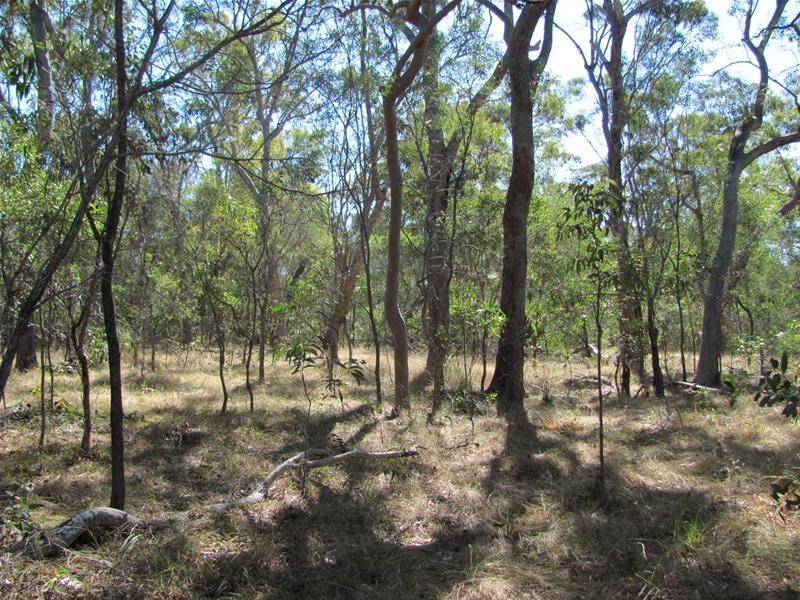 Baffle Creek QLD 4674