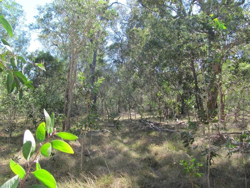 Baffle Creek QLD 4674