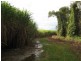 Calavos QLD 4670