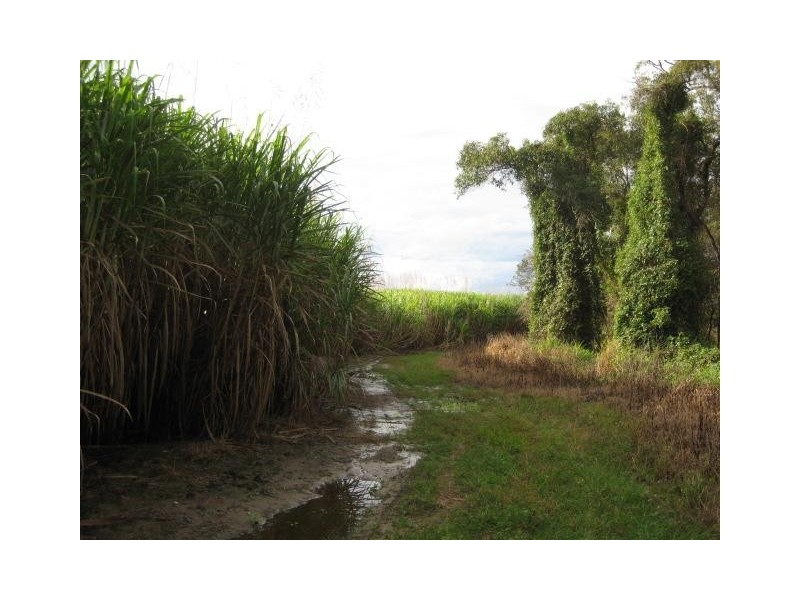 Calavos QLD 4670