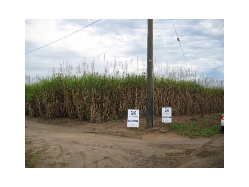 Calavos QLD 4670