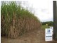 Calavos QLD 4670