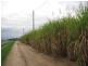 Calavos QLD 4670