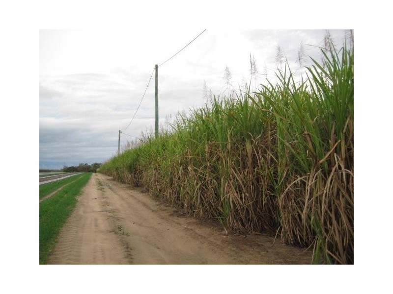 Calavos QLD 4670
