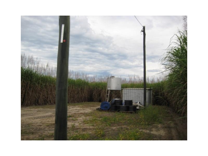 Calavos QLD 4670