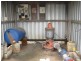 Calavos QLD 4670