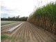 Calavos QLD 4670
