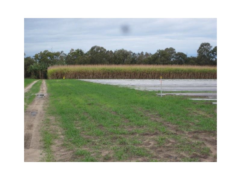Calavos QLD 4670