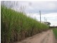 Calavos QLD 4670