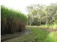 Calavos QLD 4670