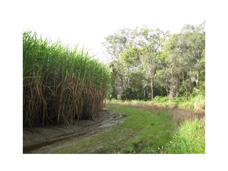 Calavos QLD 4670