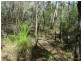 Deepwater QLD 4674
