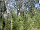 Deepwater QLD 4674