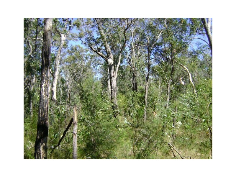 Deepwater QLD 4674
