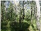 Deepwater QLD 4674