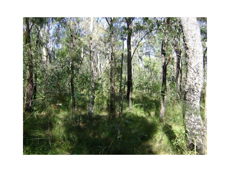 Deepwater QLD 4674