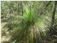 Deepwater QLD 4674