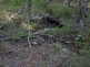 Rosedale QLD 4674