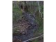 Rosedale QLD 4674