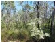 Deepwater QLD 4674