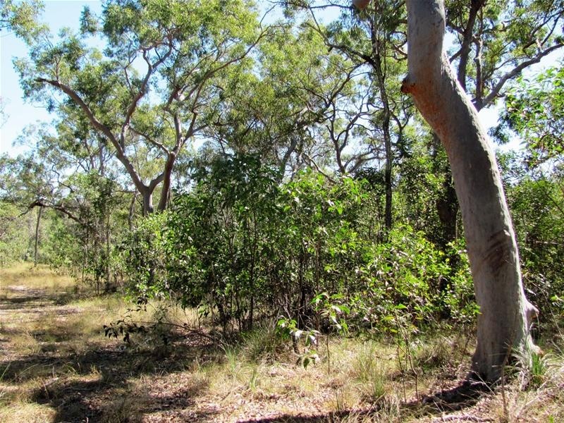 Deepwater QLD 4674