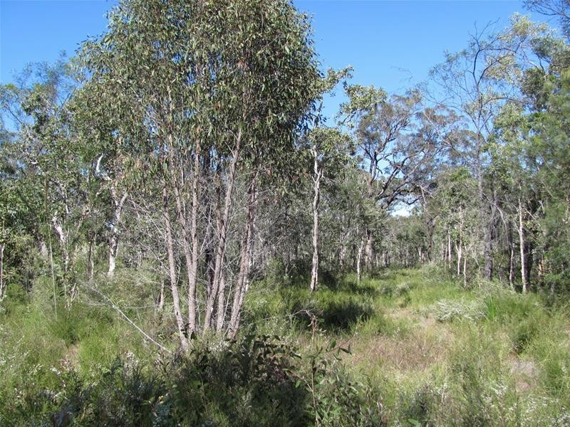 Deepwater QLD 4674