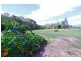 South Kolan QLD 4670