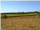 Redhill Farms QLD 4671