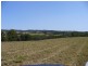 Redhill Farms QLD 4671