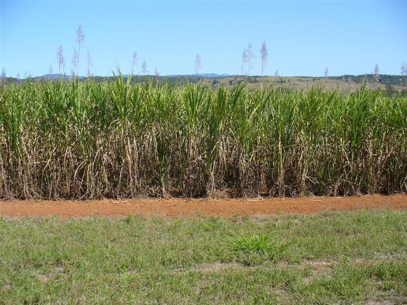 Redhill Farms QLD 4671