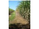 Redhill Farms QLD 4671
