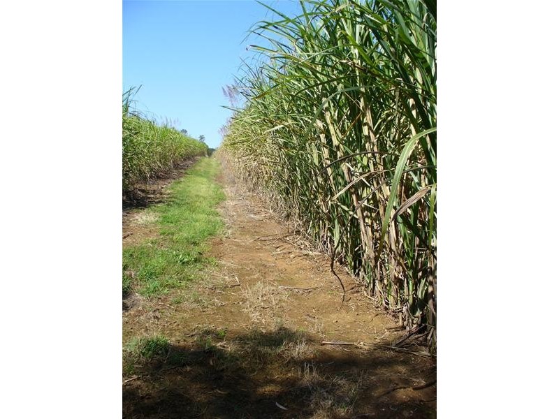 Redhill Farms QLD 4671