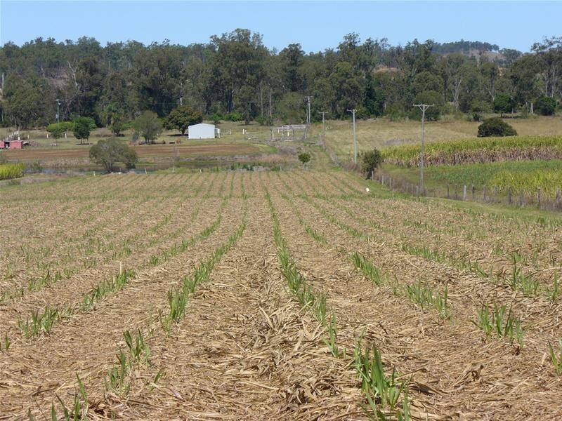 Redhill Farms QLD 4671
