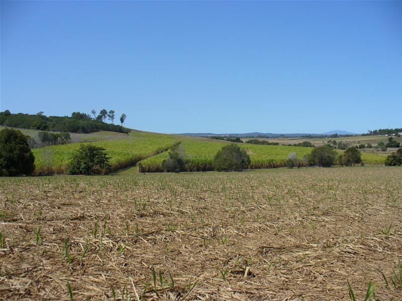 Redhill Farms QLD 4671