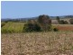 Redhill Farms QLD 4671